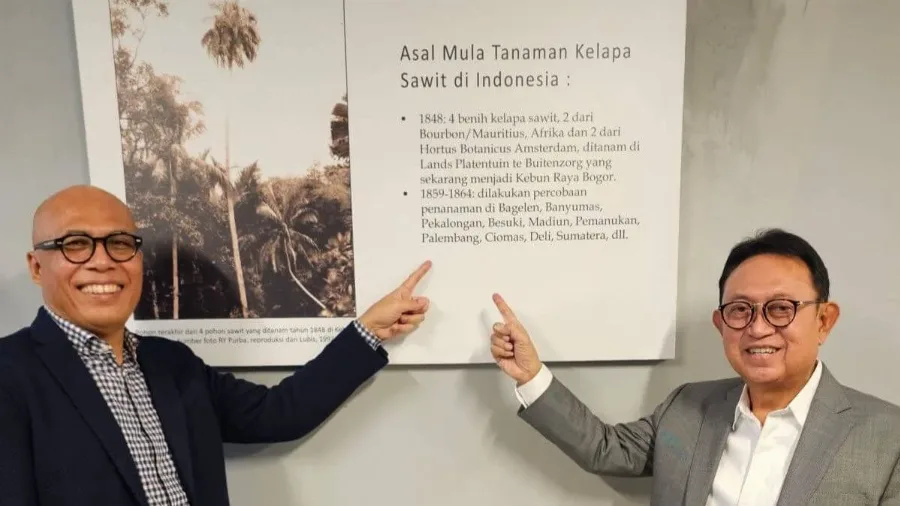 Palembang, Tanah Awal Benih Sawit Indonesia yang Nyaris Terlupakan