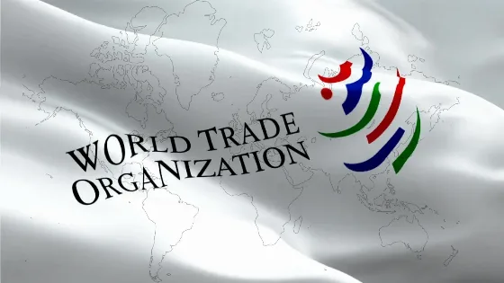 Indonesia Meraih Kemenangan Parsial Dalam Sengketa di WTO