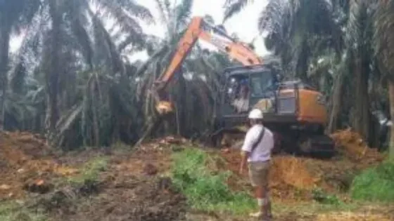 Disbun Jambi Targetkan 7.800 Hektare PSR Pada 2026