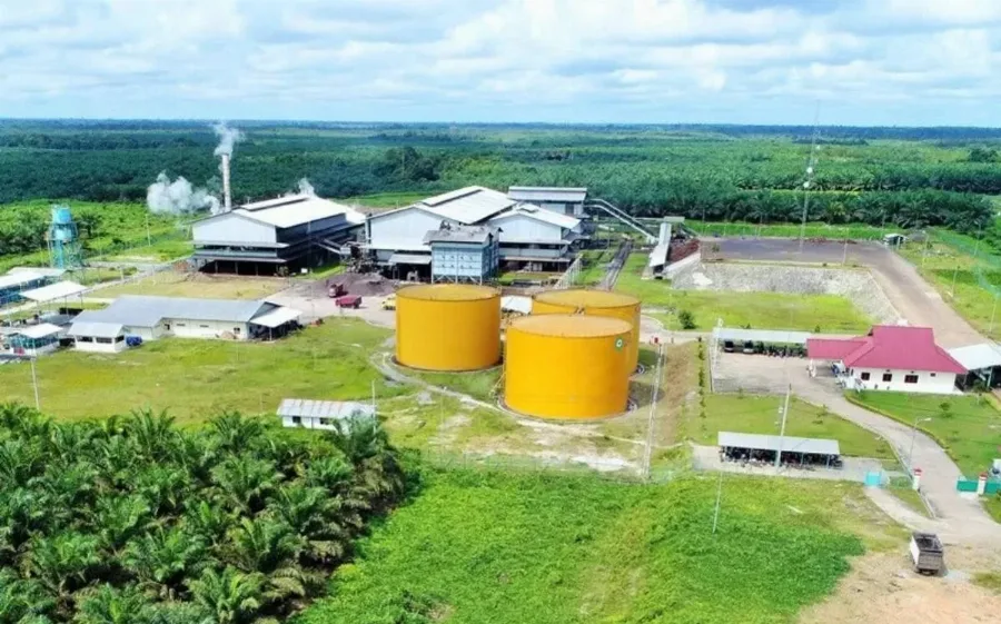 PT Pinago Utama Tbk Resmi Berganti Nama Menjadi PT AEP Pinago Plantations Tbk Hari Ini