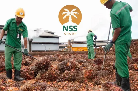 Nusantara Sawit Membukukan Laba Bersih Rp334,56 Miliar