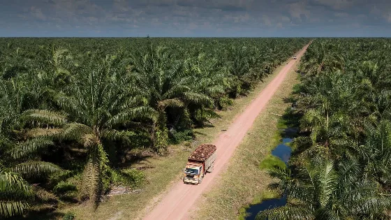 Gubernur Kalimantan Utara Meminta Koperasi-koperasi Kelapa Sawit Tingkatkan Ekonomi Masyarakat