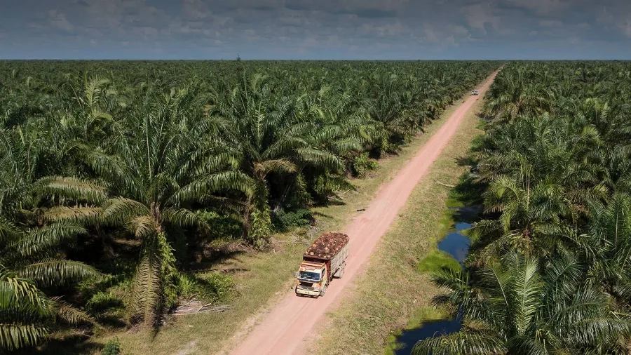 Gubernur Kalimantan Utara Meminta Koperasi-koperasi Kelapa Sawit Tingkatkan Ekonomi Masyarakat