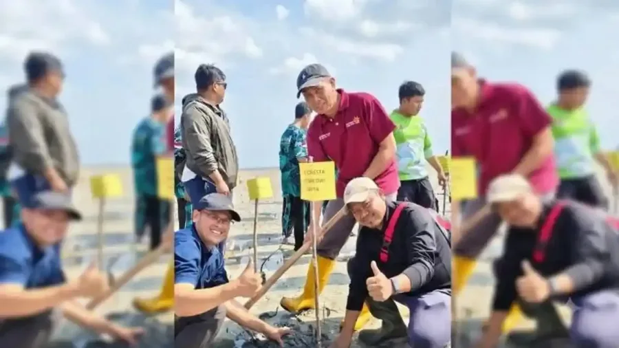Anak Usaha Sinar Mas Agribusiness and Food Menjaga Keberadaan Bakau di Pantai Batu Bedil