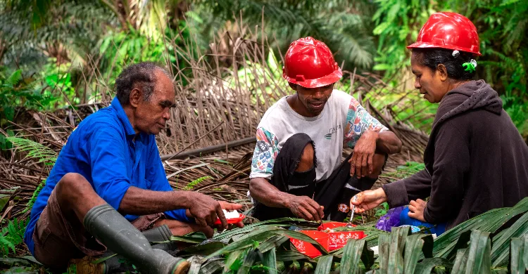 K3 Dinilai Meningkatkan Produktivitas dan Memperkuat Daya Saing Industri Kelapa Sawit Nasional