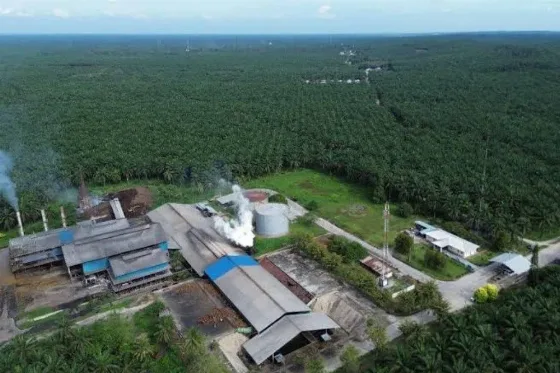 PT Agrinas Palma Nusantara Siapkan Pilot Project Pengembangan Plasma Sawit di Sumatera Utara