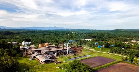 Peluang Indonesia Menjadi Raja Biogas Sawit Dunia