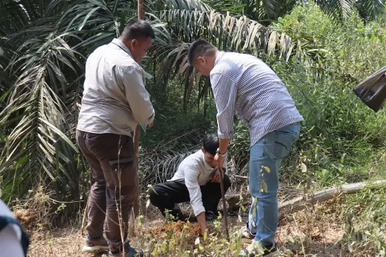 Solusi Replanting Sawit: Tim Pengabdian Faperta UNJA Hadirkan Inovasi FEROTRAP