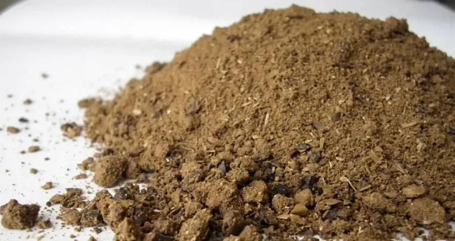 Palm Kernel Meal Pakan Ternak Altrenatif
