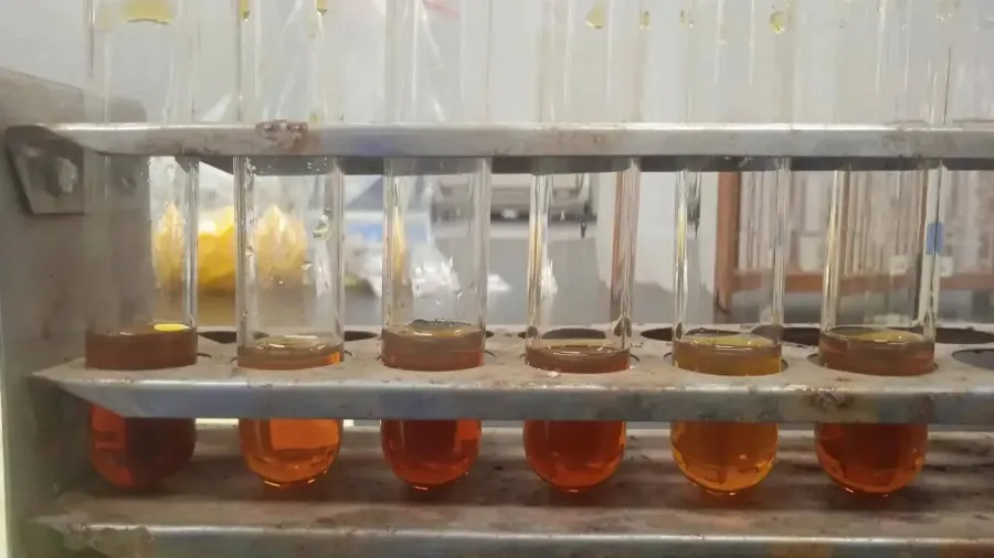 Pemanfaatan Iradiasi Gamma untuk Produksi Biodiesel dari Minyak Jelantah