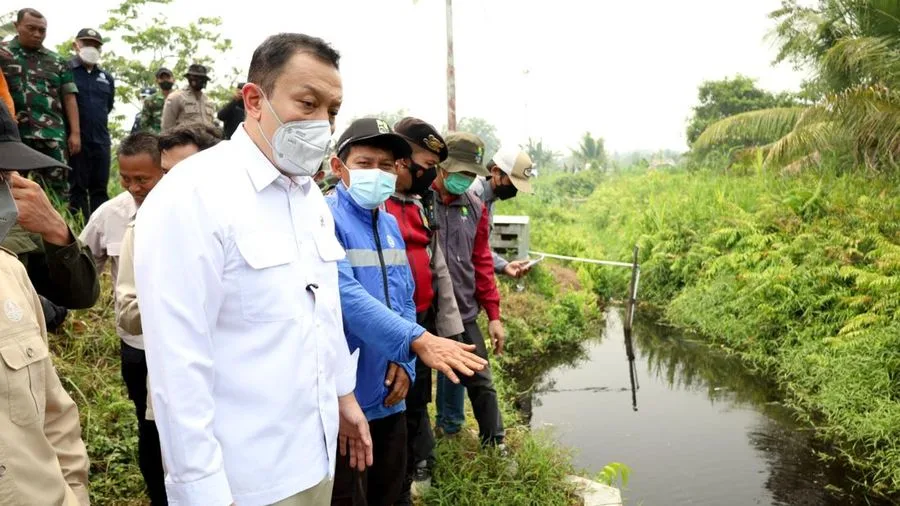 Wamen KLH/BPLH Dorong Pembangun Sekat Kanal di Sekitar Area Konsesi Perusahaan Cegah Karhutla