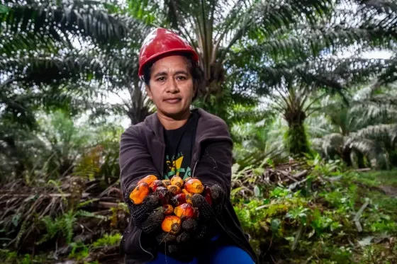 GAPKI Berikan Perlindungan dan Pemenuhan Hak Bagi Perempuan Pekerja Sawit