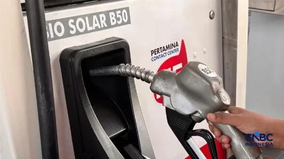 Harga CPO Dunia Tahun 2027 Diperkirakan Sekitar US.650-1.720/ton, B50 Diproyeksikan Meningkat