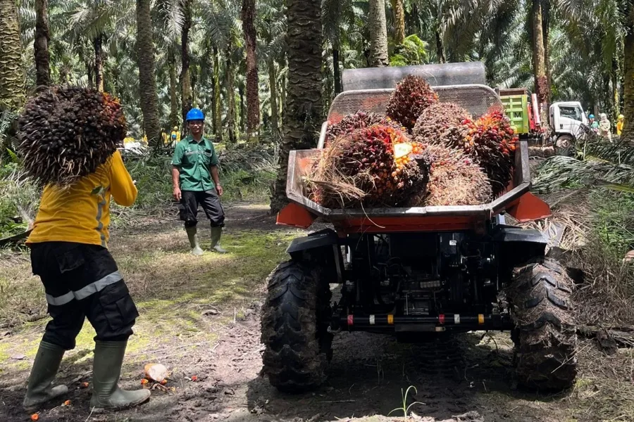 B50 Tingkatkan Devisa Negara hingga Tekan Impor Solar