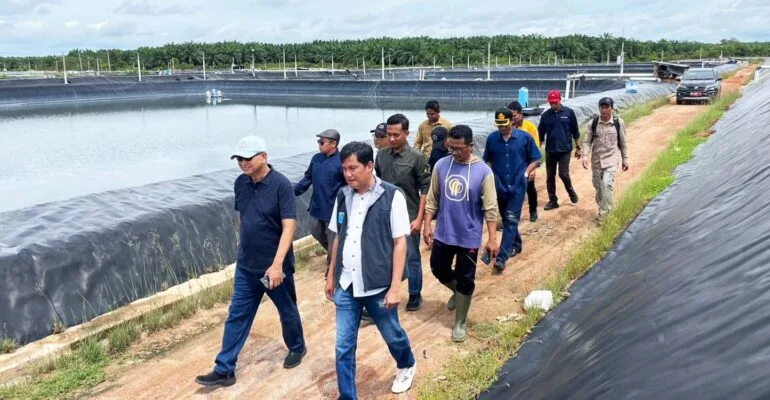Limbah Udang Diubah Menjadi Pupuk Organik Kelapa Sawit