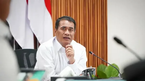 Harga TBS Sawit Mulai Menguat, Berikut Daftar Harga di Sejumlah Provinsi