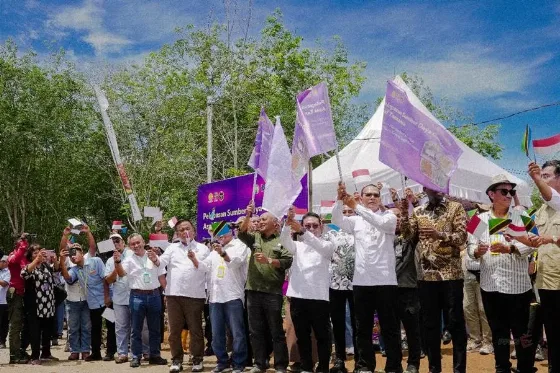 Bibit Sawit Tanzania Harapan Baru Produksi Sawit Nasional
