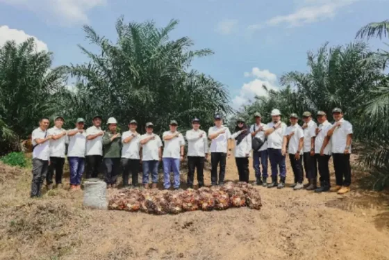 PalmCo Mencatatkan Capaian Positif Dalam Program Peremajaan Kebun Sawit, Panen Pada Usia 2,5 Tahun Sebesar 7,52 Ton/Hektare