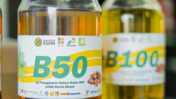 Harga Biodiesel Jadi Rp14.562/Liter, Berlaku Juli 2026