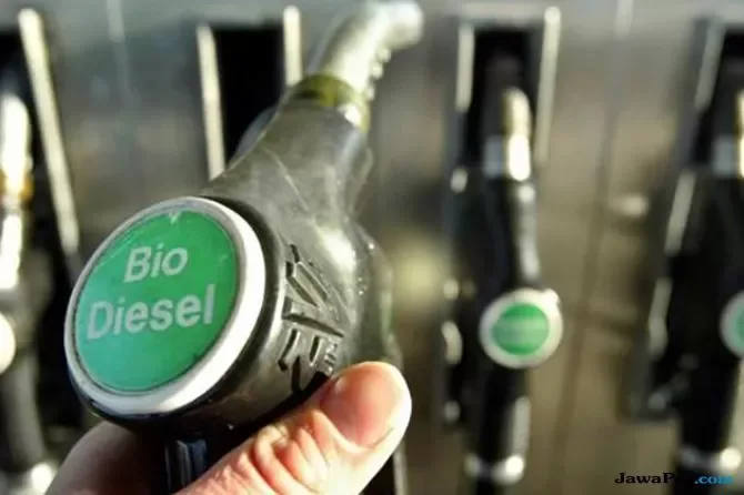 B50 Menurunkan Emisi CO2 Sebesar 44,46 Juta Ton