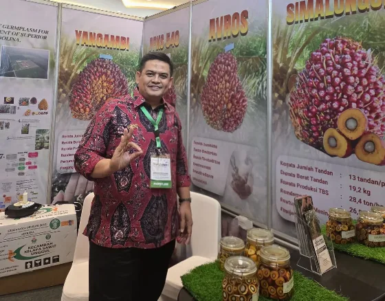 KSO Kebun Benih Adolina Bidik Penjualan 20.000 Kecambah Sawit di SIEXPO 2026
